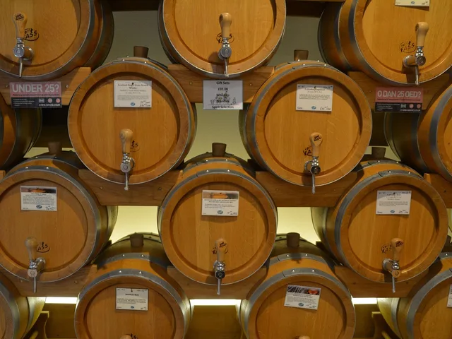 Kermés tarijeña · Bodega Daroca