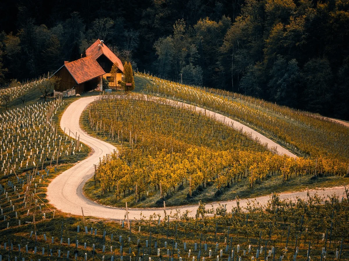 Ruta del Vino + rueda de negocios (VIP) · Salida desde la plaza principal